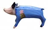 Pig in a Poke