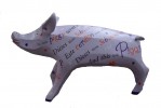 Pigasso