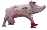 Stereotype Pig