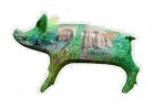 Two Tunnels Pig